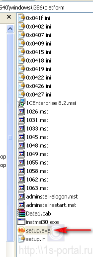 Файлы в папке установки платформы 1С